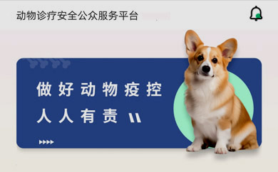 动物诊疗安全公共服务平台