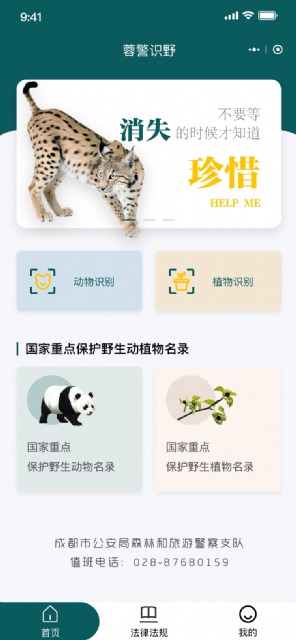 野生动植物识别小程序(AI图片识别算法)